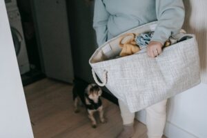 Как да премахнете слуз от дрехи, килими и мебели у дома